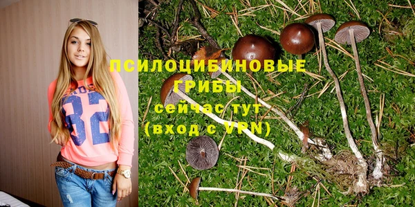 бошки Ветлуга