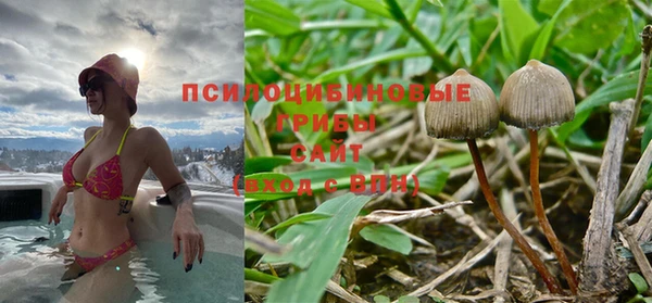 mix Пересвет