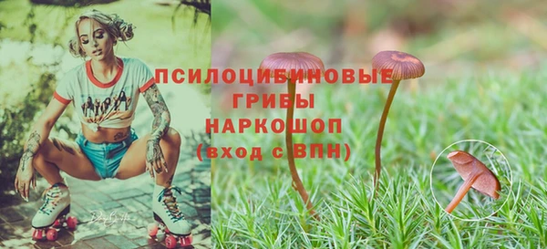 твердый Покачи