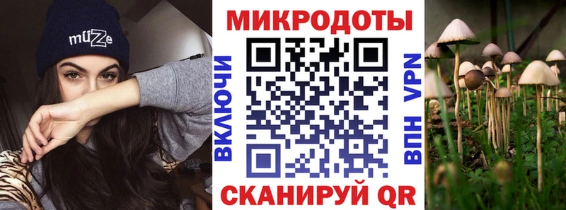 Псилоцибиновые грибы прущие грибы  продажа наркотиков  Зеленокумск 