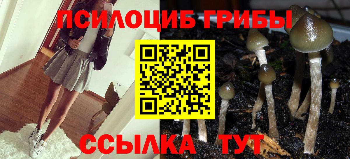 Зеленокумск  купить наркоту  Вход с VPN  Псилоцибиновые грибы Psilocybe  Галлюциногенные грибы мицелий 